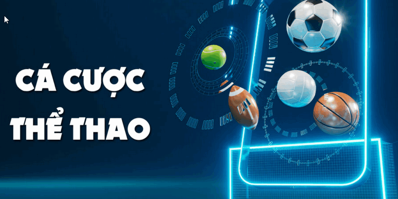 Hướng Dẫn Cá Cược Thể Thao Tại K8 bet